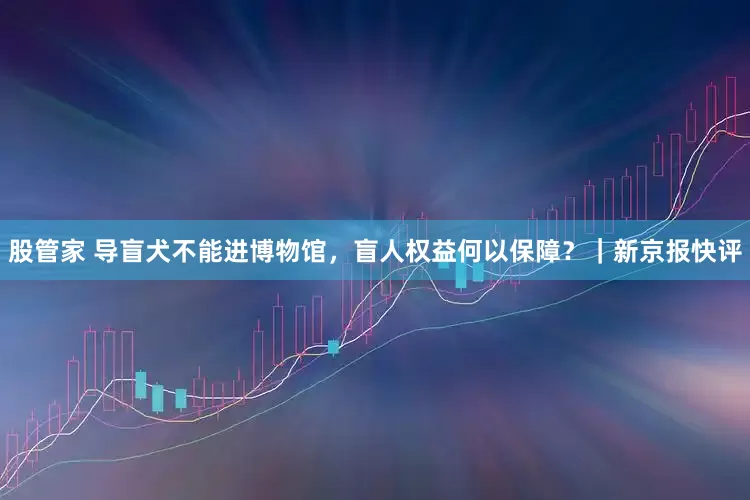 股管家 导盲犬不能进博物馆，盲人权益何以保障？｜新京报快评