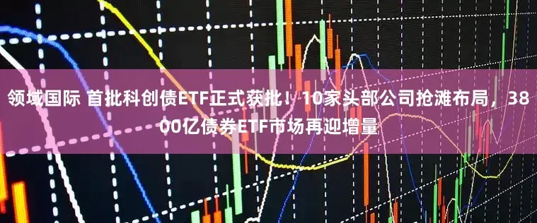 领域国际 首批科创债ETF正式获批！10家头部公司抢滩布局，3800亿债券ETF市场再迎增量