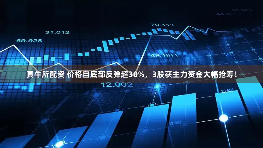 真牛所配资 价格自底部反弹超30%，3股获主力资金大幅抢筹！