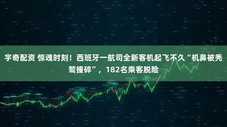 宇奇配资 惊魂时刻！西班牙一航司全新客机起飞不久“机鼻被秃鹫撞碎”，182名乘客脱险